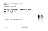 Image Representation and Description - Columbia Universityxlx/courses/ee4830-sp08/... · 2008. 4. 21. · Image Representation and Description Shahram Ebadollahi DIP ELEN E4830. 4/15/2008