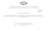 UNIVERSIDAD CARLOS 111 DE MADRID - CORE · 2016. 9. 23. · universidad carlos 111 de madrid departamento de ingeniería elÉctrica, electrÓnica y automÁtica tesis doctoral interferometrfa
