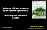 Optimizar el funcionamento de un sistema agroforestal .... CULTIVOS EN HUERTOS...Cultivos productivos en huertos Christian Dupraz UMR SYSTEM, Montpellier, Francia 20/03/2015 Segunda