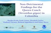 Non-Detrimental Findings for the Queen Conch · 2015. 3. 13. · Non-Detrimental Findings for the Queen Conch (Strombus gigas) in Colombia Martha Prada, Erick Castro, Elizabeth Taylor,,