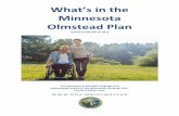 What’s in the Minnesota Olmstead Plan · 2019. 7. 10. · The MN Olmstead Plan (or the Plan, as we will call it here) discusses how important these ideas are in Minnesota. The Plan