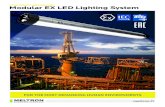 THE MOST ADVANCED Modular EX LED Lighting System · 2021. 3. 10. · EN IEC 60079-0:2018 EN IEC 60079-7:2015/A1:2018 EN 60079-18:2015/A1:2017 EN 60079-28:2015 EN 60079-31:2014 EN