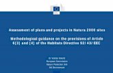 Assessment of plans and projects in Natura 2000 sites ...€¦ · and projects with likely effects on Natura 2000 sites • Relevant guidance documents on Article 6(3) and 6(4): o