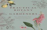 Practical Botany - University of Chicago · 2016. 8. 25. · PRACTICAL BoTANY foR GARdeNeRS Root structure A true root system consists of a primary root and secondary (or lateral)