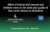 Effect of bottom leaf removal and fertiliser rates on the ...€¦ · 2017_AP17_Koga.pdf AP2017 - Document not peer-reviewed by CORESTA. Presentation Structure 1) What is bottom leaf