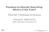 Freedom-to-operate Searching: What’s in the Tube? · 2017. 9. 24. · Solutions at PIUG 2015 Annual Conference. • Therapeutic Antibodies: Do's and Don'ts for Freedom-to-Operate