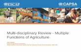 Multi-disciplinary Review - Multiple Functions of Agriculture...Prevention of natural disasters and soil conservation Prevention of soil erosion, soil collapse and other soil disasters,