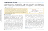 Heterogenization of Trinuclear Palladium Complex into an Anionic …sqma.myweb.usf.edu/pages/pictures/Publications/P_191.pdf · 2019. 8. 21. · Heterogenization of Trinuclear Palladium