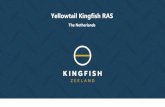 Yellowtail Kingfish RAS - TEKSET 2019 · Timeline Kingfish Zeeland 2008 R&D project in collaboration with Wageningen University 2011-2014 Pilot plant Amsterdam 2015 Foundation Kingfish