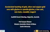 Presentation to AusIMM Kalgoorlie Branch - Mining & Process … · 2020. 12. 11. · AusIMM Branch Meeting, Kalgoorlie, Australia Prof Jacques Eksteen Western Australian School of