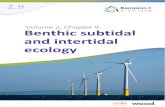 PEIR Chapter 9 Benthic subtidal and intertidal ecology · 2021. 7. 8. · Boundary intertidal ecology study area 36 Table 9-11 Marine nature conservation designations with relevance