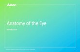 Anatomy of the Eye PPT SBB.When the eye views an object at all distances, the ciliary muscle relaxes. C.The nervous layer, or retina, consists of five separate layers. D.The cornea