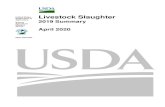 USDA - Livestock Slaughter 2019 Summary 04/22/2020 · 2020. 4. 22. · 6 Livestock Slaughter 2019 Summary (April 2020) USDA, National Agricultural Statistics Service Summary Record