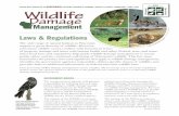 WISCONSIN Wildlife Damage · (WS; a federal agency) is a non-regulatory program that assists private individuals, organizations and agencies with wildlife damage management. The mission