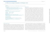 A Pharmacological Update of Ellagic Acid · Departament de Farmacologia, Facultat de Farmàcia, Universitat de València Av. Vicent Andrés Estellés s/n., 46100 Burjassot, Spain