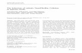 The behaviour of cationic NanoFibrillar Cellulose in ...download.xuebalib.com/xuebalib.com.53015.pdf · NFC have been thoroughly studied (Ahola et al. 2008a, b; Aulin et al. 2009).