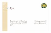 sss.2. histologi 1 eye.ppt [Read-Only]ocw.usu.ac.id/course/download/1110000121-special-senses...Eye Eye Anatomy Anatomy External (Accesory) 1. Eyelids (palpebrae) 2. Conjunctiva 3.