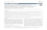 Comparison of CRISPR-Cas9/Cas12a Ribonucleoprotein ...