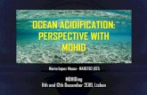 OCEAN ACIDIFICATION: PERSPECTIVE WITH MOHID