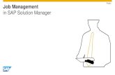 in SAP Solution Manager