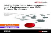 SAP HANA Data Management and Performance on IBM Power …