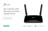 4G+ Cat6 AC1200 Wireless Dual Band Gigabit Router