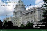 US Government Debt: How much should we worry?