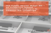 The Public Sector Wage Bill an evidence-based assessment ...