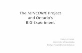 The MINCOME Project - LSE