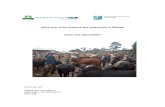 Quick scan of the livestock and meat sector in Ethiopia ...