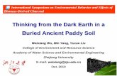 Thinking from the Dark Earth in a Buried Ancient Paddy Soil