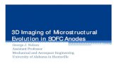 3D Imaging of Microstructural Evolution in SOFC Anodes