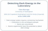 Detecting Dark Energy in the Laboratory