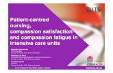 Patient-centred nursing, compassion satisfaction and