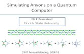 Simulating Anyons on a Quantum Computer