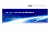 LTE Industry Briefing - GTI