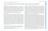 A computational image analysis glossary for biologists