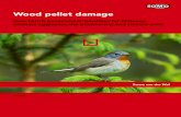Wood pellet damage - greenpeace.org