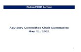 MCS Advisory Committee Summaries - Texas