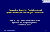 Anaerobic digestion feedstocks and opportunities ... - Energy