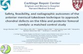 Safety, feasibility, and radiographic outcomes of the ...