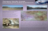 Tanque Verde Creek - desertmuseum.org