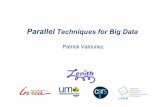 Parallel Techniques for Big Data