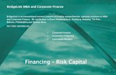 Financing Risk Capital