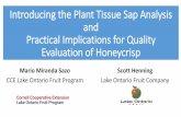 Introducing the Plant Tissue Sap Analysis and Practical ...