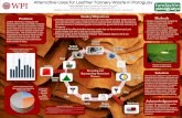 Alternative Uses for Leather Tannery Waste in Paraguay