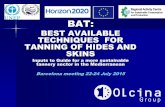 BEST AVAILABLE TECHNIQUES FOR TANNING OF HIDES AND …