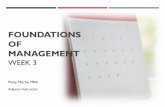 Foundations of Management Week 3