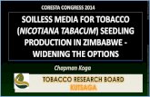 NICOTIANA TABACUM) SEEDLING PRODUCTION IN ZIMBABWE
