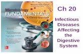 Infectious Diseases Affecting the Digestive System
